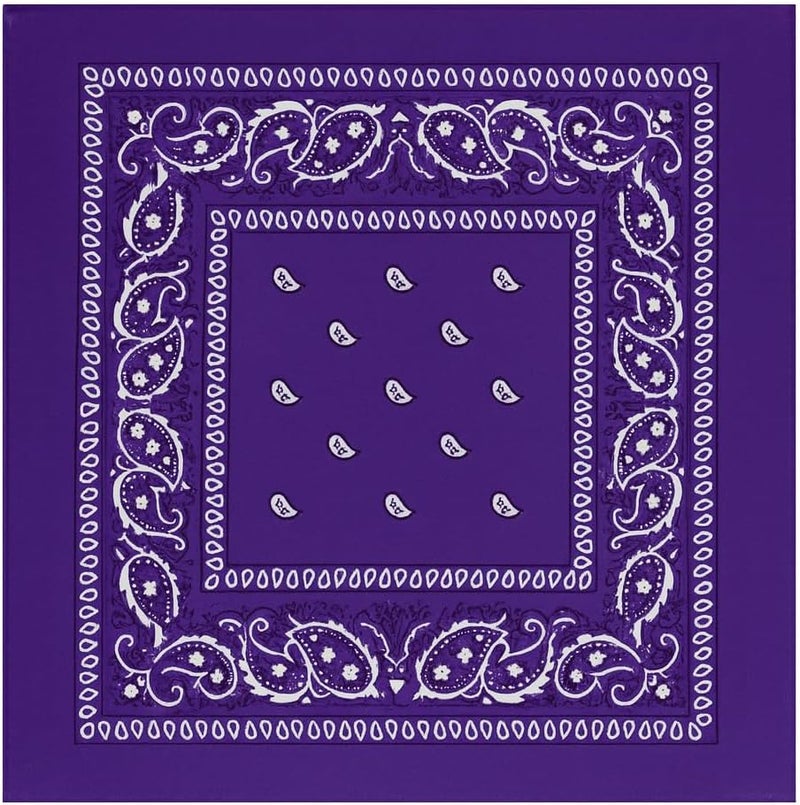 3 Pack Paisley Bandanas – 100% Cotton Square 21x21 Head Wrap, Headband, Face Cover, Neck Scarf for Men & Women